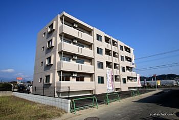 シャルマン・ユミ